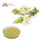 25KG/DRUM Quercetin Powder Rutin 95% Flavonoids Yellow Green Color