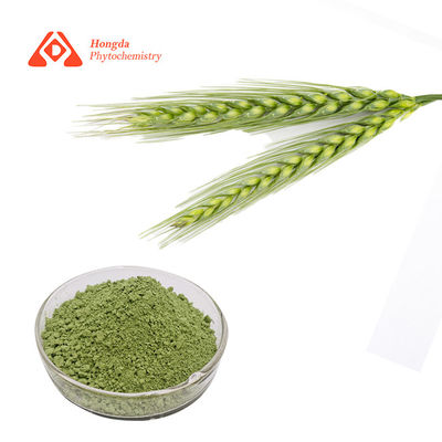 25KGS/DRUM Pure Organic Powder , Green Barley Juice Powder  For Beverages